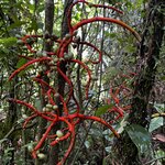 Photo taken by Tiphanny C