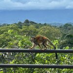 Photo taken by Chris H