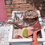 Photo taken by Brandon P