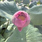 Photo taken by michelle K