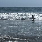 Photo taken by Martin L