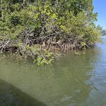 Photo taken by Mohan I