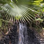 Photo taken by Kate R