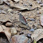 Photo taken by Adriene A