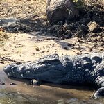 Photo taken by rhonda c