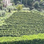 Photo taken by Cecilia M