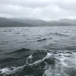 Photo taken by Khaled S