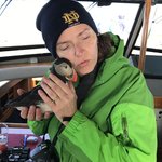 Puffin tour  | Photo taken by Jana P