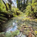 Photo taken by Sichao N