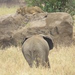 Photo taken by Kristin M