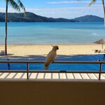 Photo taken by Maggie W