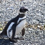 Photo taken by Raj M