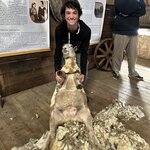 Photo taken by SUSAN L