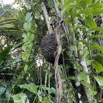 Photo taken by Kayla H