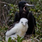 Photo taken by Sabine V