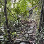 Photo taken by Matt P