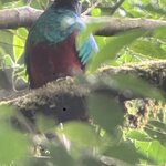 Photo taken by Cindy R