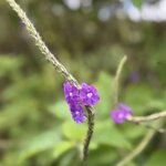 Photo taken by katie u