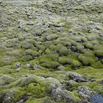 Photo taken by Gary B