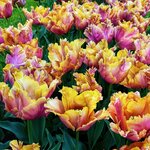 Photo taken by Nancy M