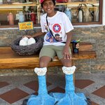 Photo taken by Narasimhachar P