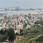 Haifa gardens | Photo taken by Margaret K