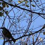 Photo taken by Bert B