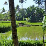 Photo taken by Laurence S