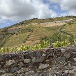 Photo taken by Shelley H