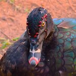 Photo taken by Dennis H