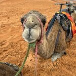 Photo taken by Mark L