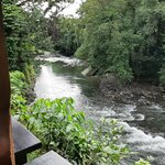 enroute to Tortuguero | Photo taken by Kathy H