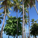 Photo taken by Luke T