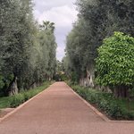 La Mamounia   | Photo taken by Filipinas C