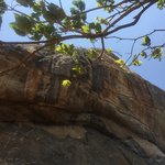 Photo taken by Wendy T