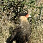 Photo taken by sam s