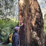 Photo taken by Amy Z