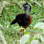 Photo taken by Brett F