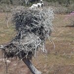 Photo taken by Matt W