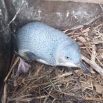 Photo taken by Kaya W