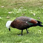 Photo taken by Lisa S