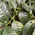 Photo taken by Siang O