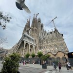 Photo taken by Tricia Z