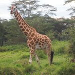 Photo taken by Peter H