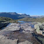 Photo taken by Sarina H