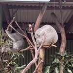 Photo taken by Mohan I