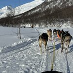 Photo taken by Tracy K