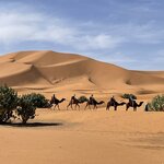 Photo taken by Don G