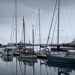 Photo taken by Laura O