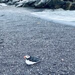 Photo taken by Donna T